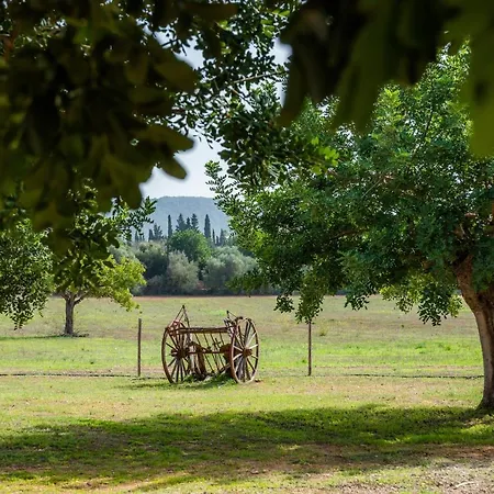 S'hort De N'andreu Villa